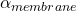 \alpha_{membrane}